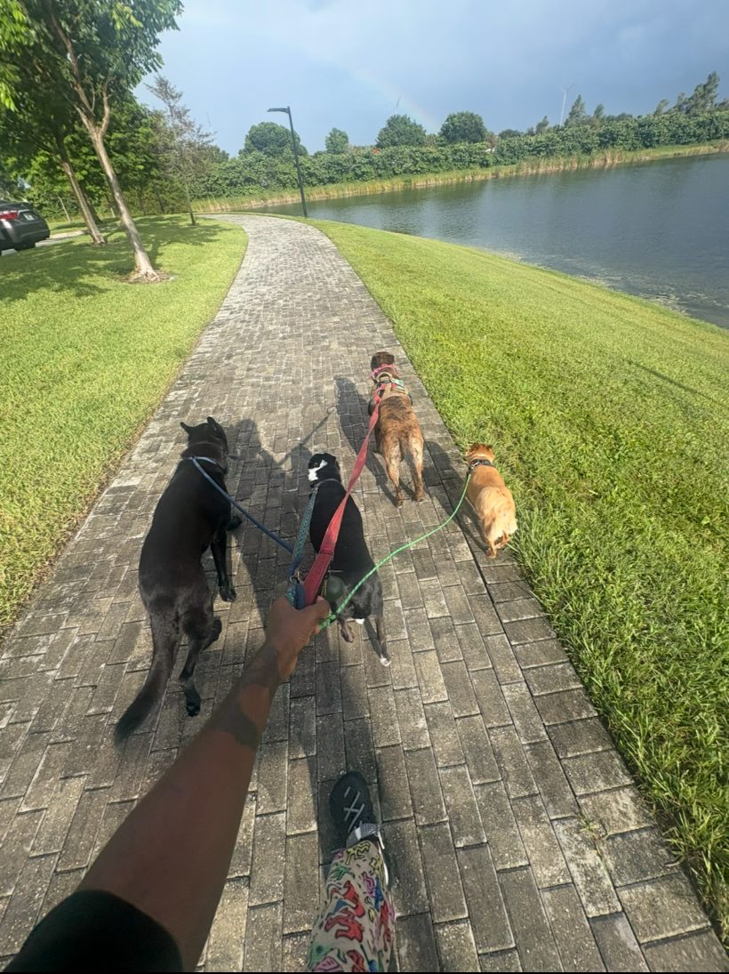 Group walk