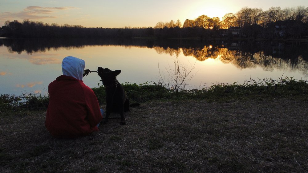 Sunset walk