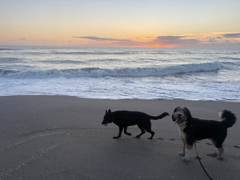 Beach excursion